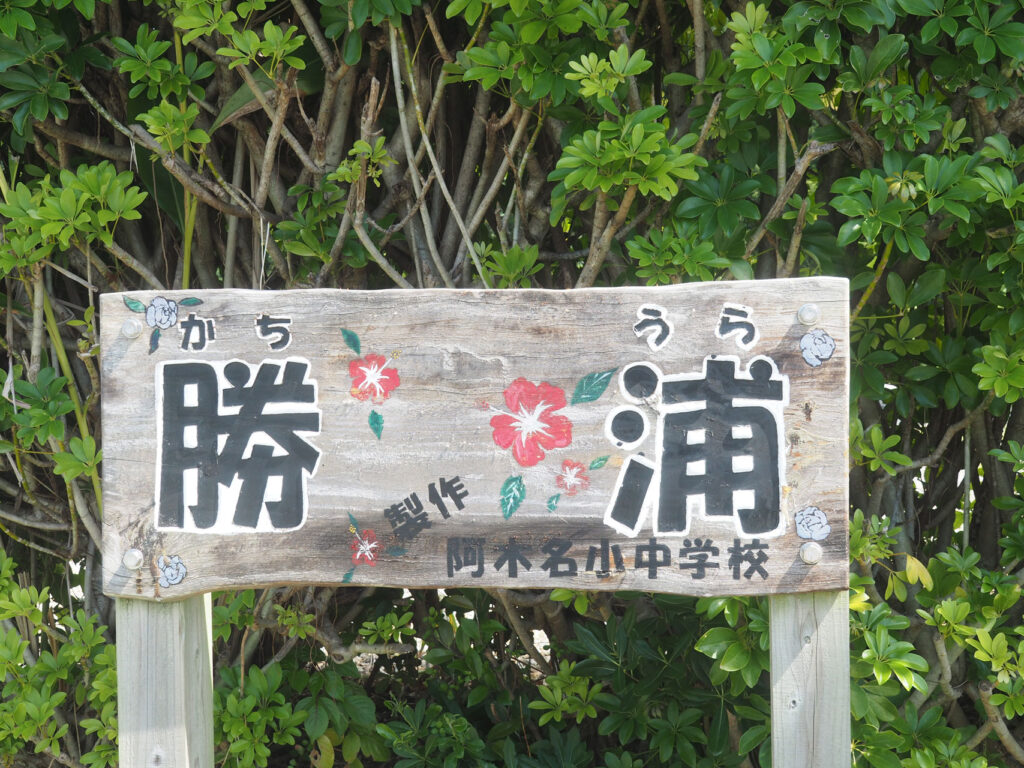 勝浦集落
